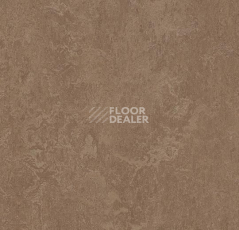 Линолеум Forbo Marmoleum Marbled Fresco 3254-325435 clay фото 1 | FLOORDEALER